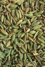 fennel seeds